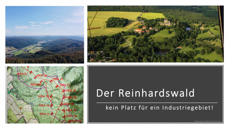 Der Reinhardswald – kein Platz für ein Industriegebiet